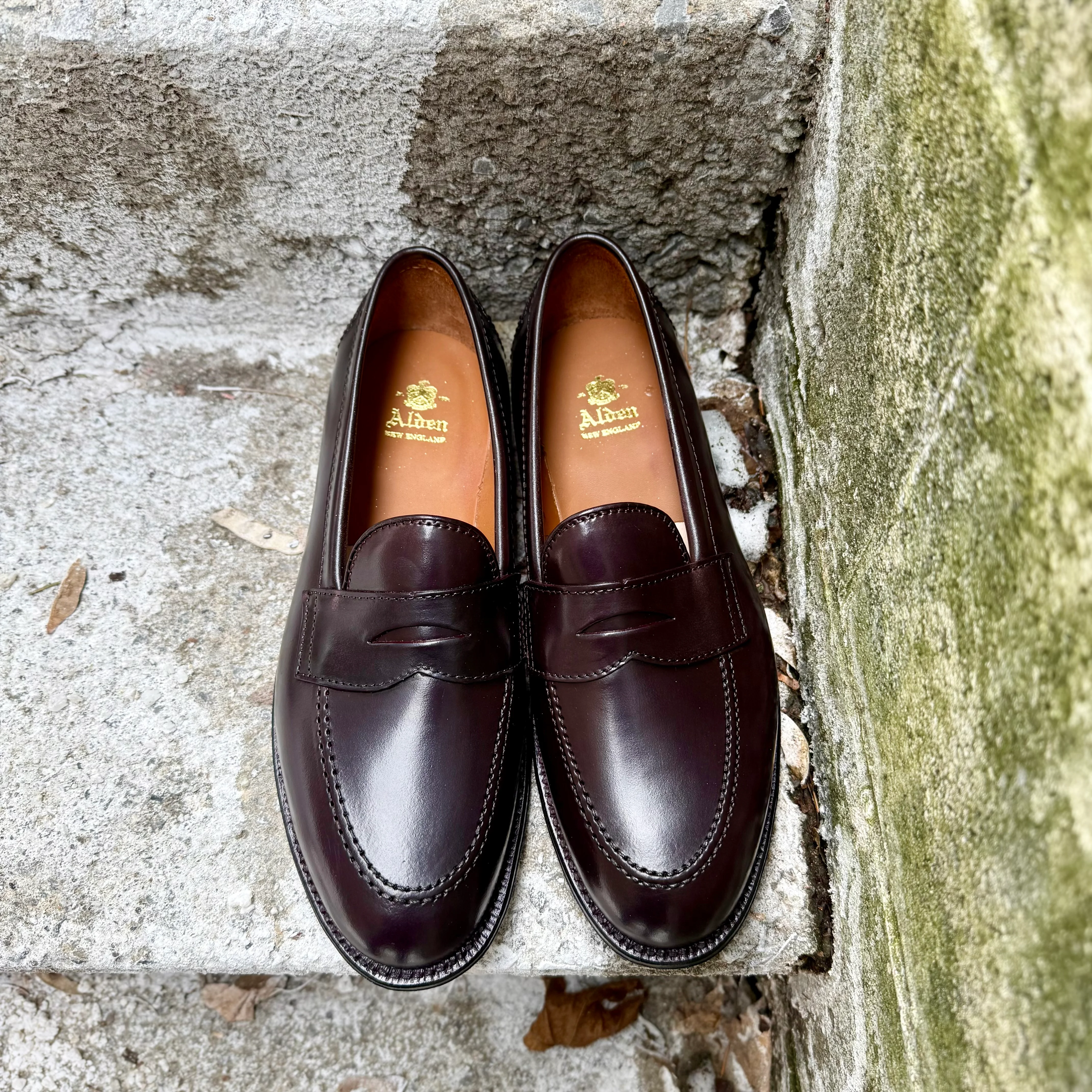 96948 - Copley Penny Loafer in Color 8 Shell - Image 3