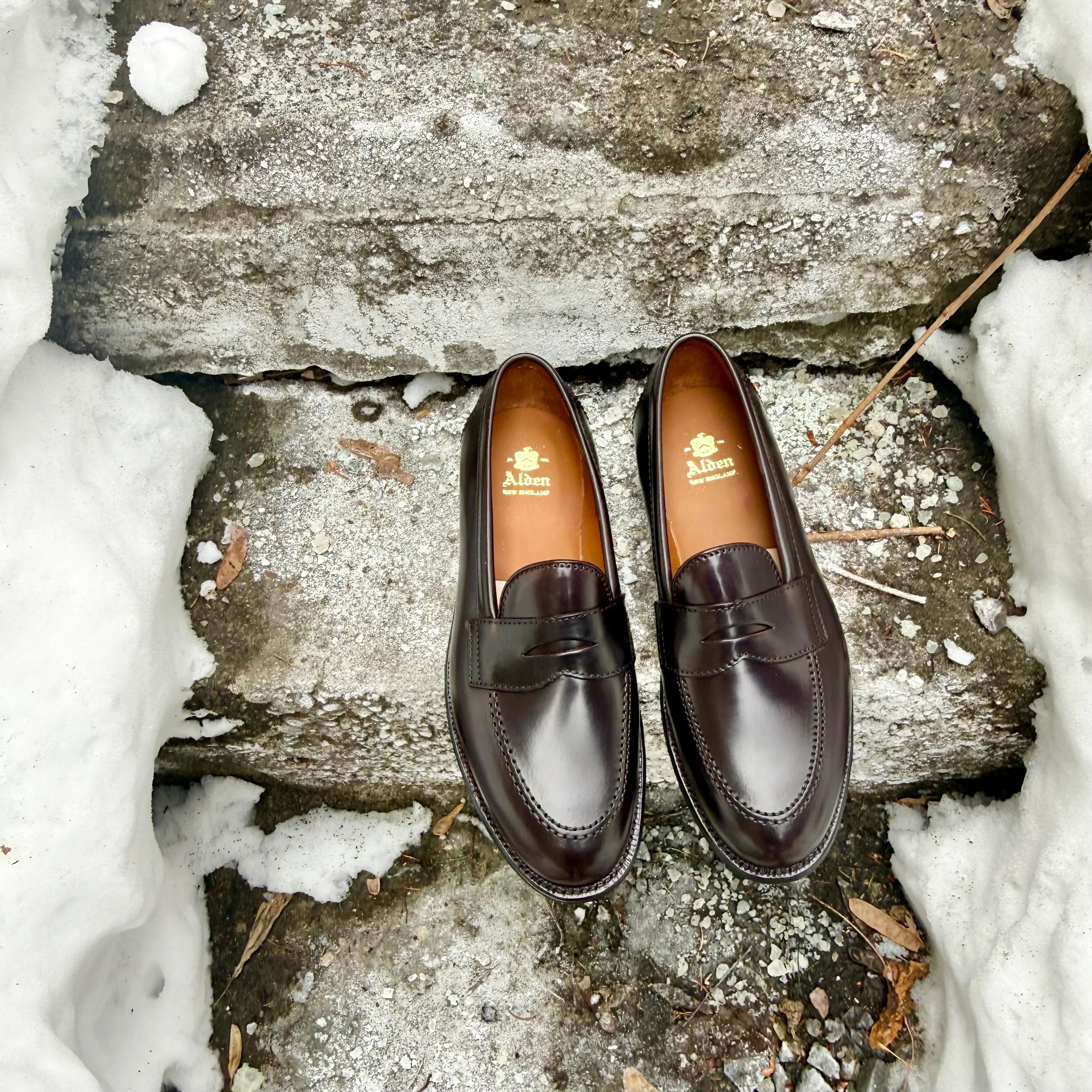 96948 - Copley Penny Loafer in Color 8 Shell - Image 8