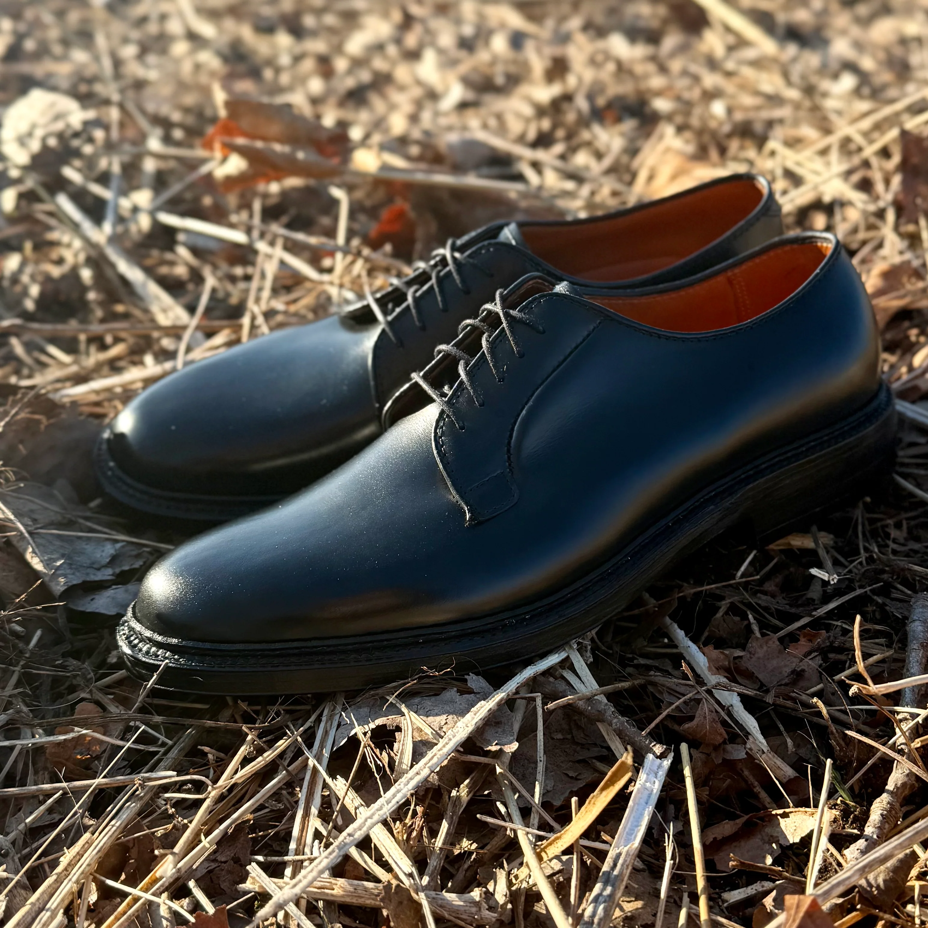 9909 - Black Calfskin Plain Toe Blucher - Image 4