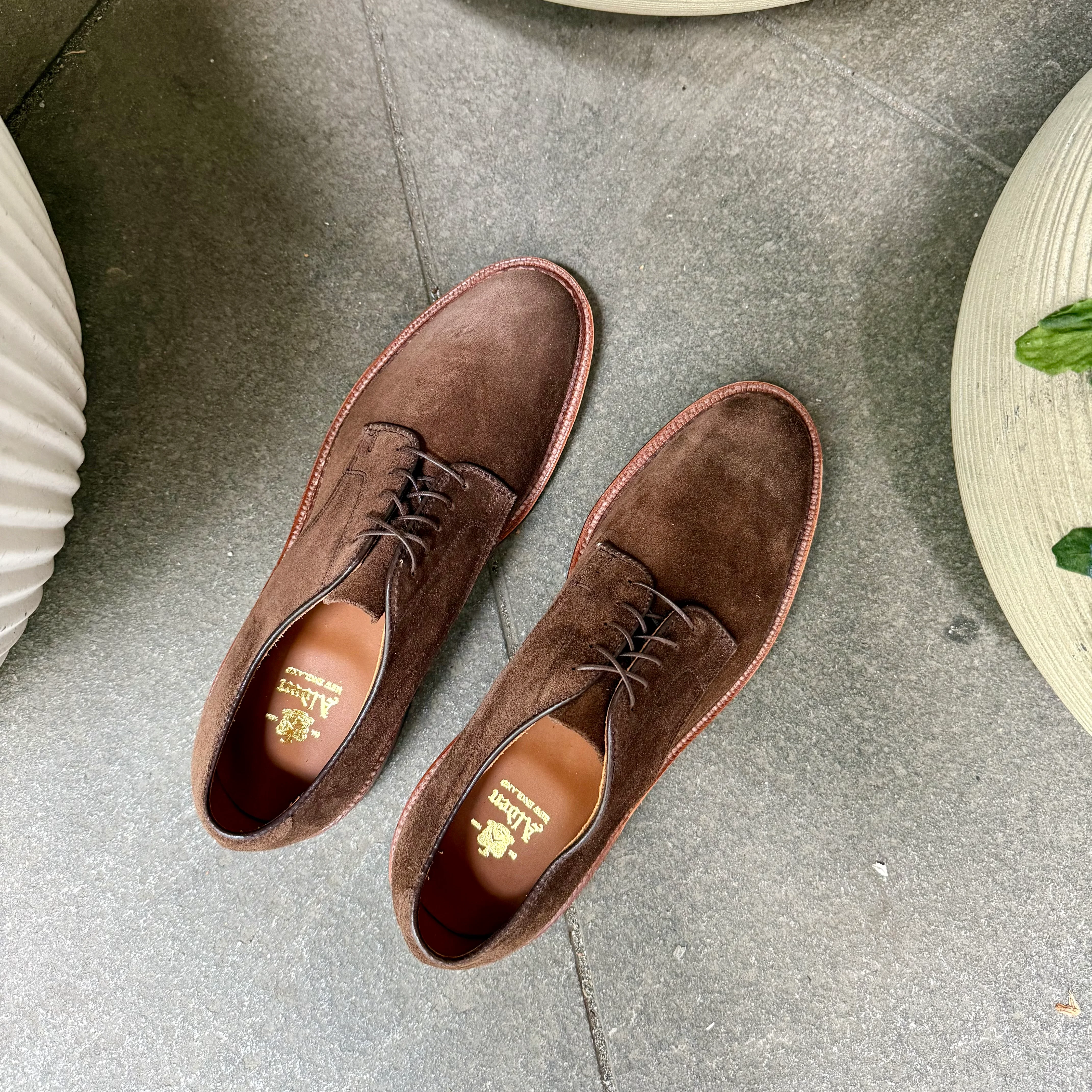 29335F - Unlined Dover in Brown Suede - Image 6