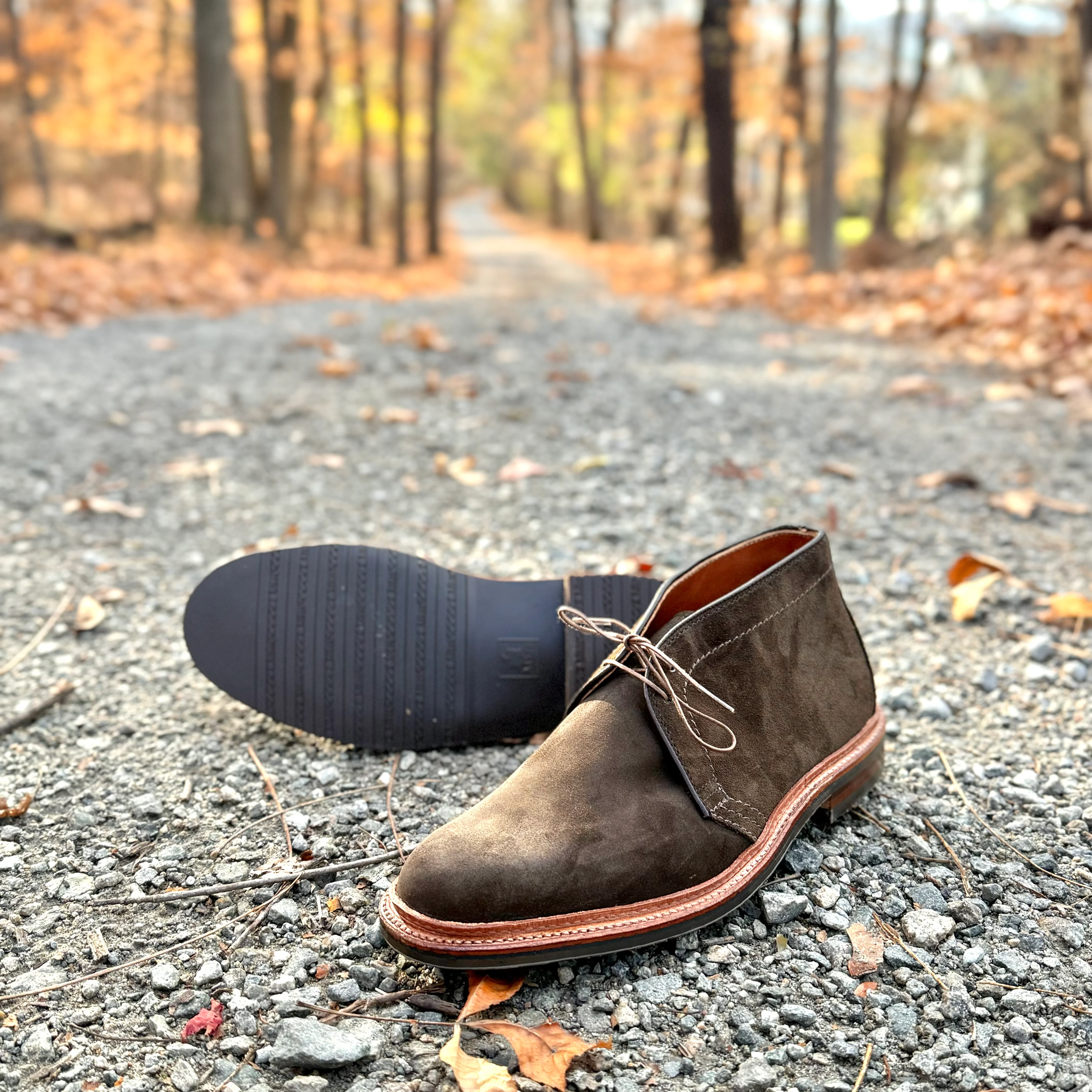 D1712L - Chukka Boot with L3 Sole in Loden Suede - Image 2