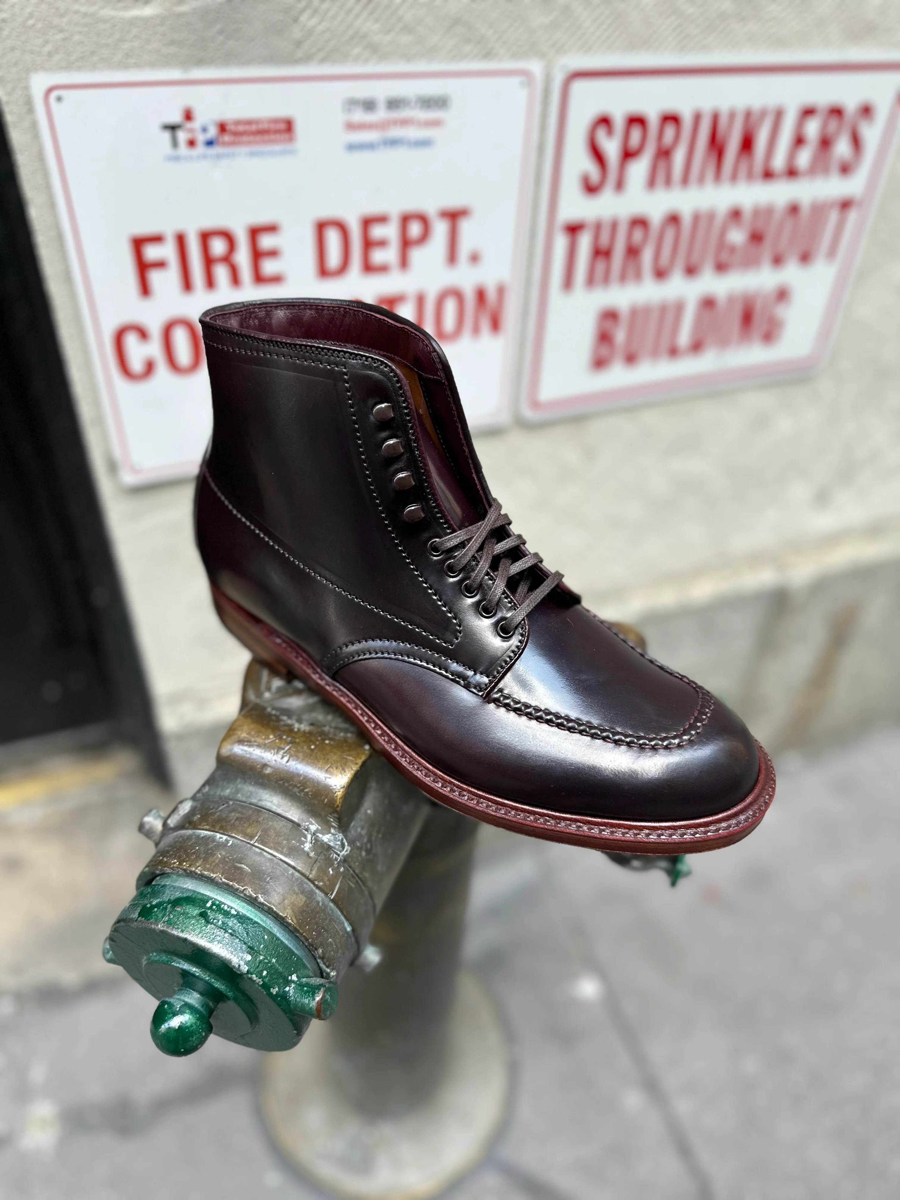D2936H - Color 8 Shell Indy Boot - Image 4