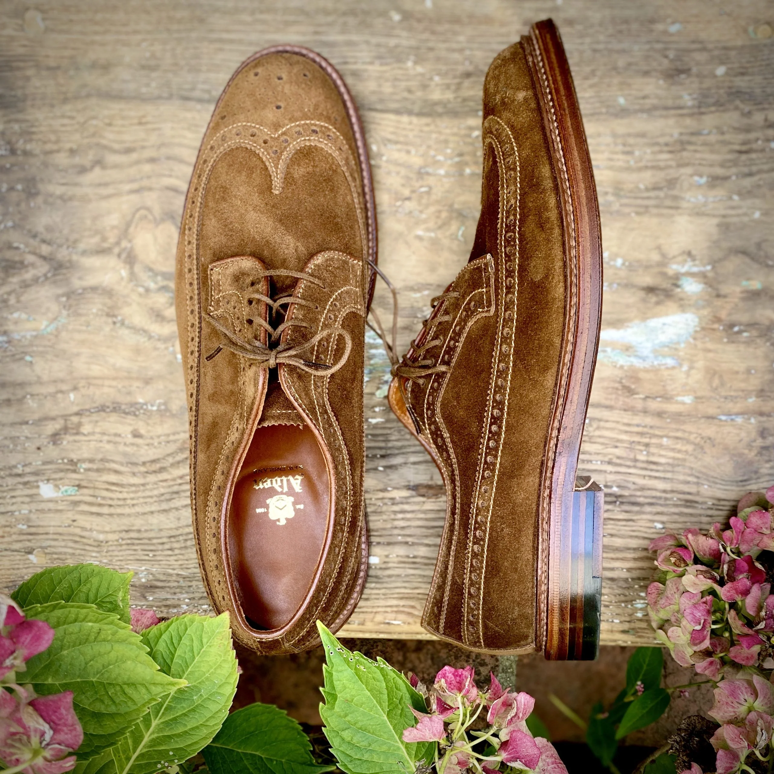 9794 - Long Wing Blucher in Snuff Suede - Image 5