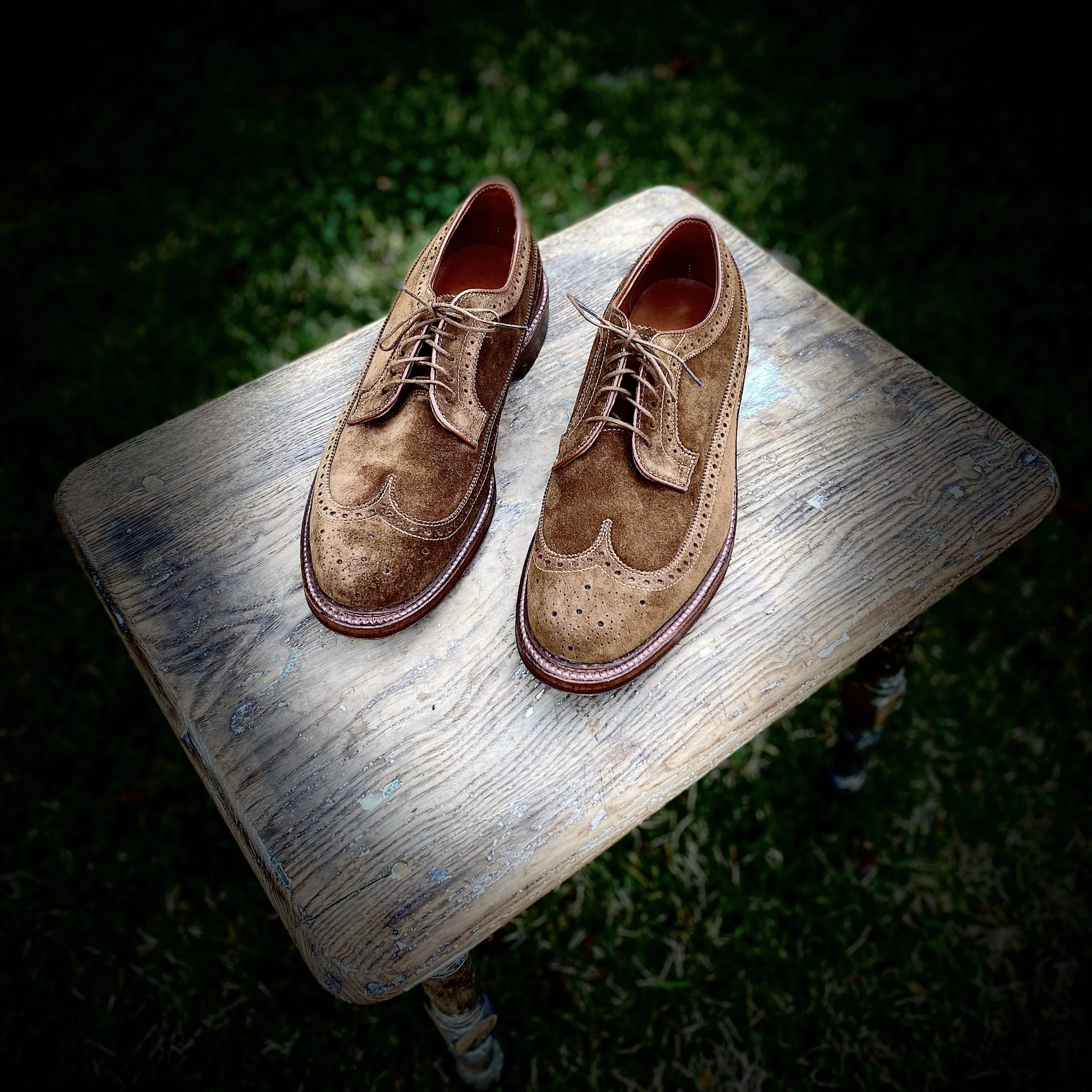 9794 - Long Wing Blucher in Snuff Suede - Image 7