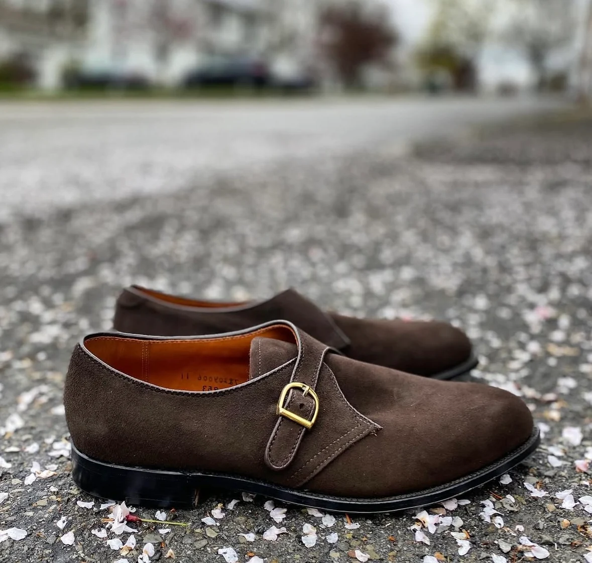 953 - Monk Strap in Brown Suede