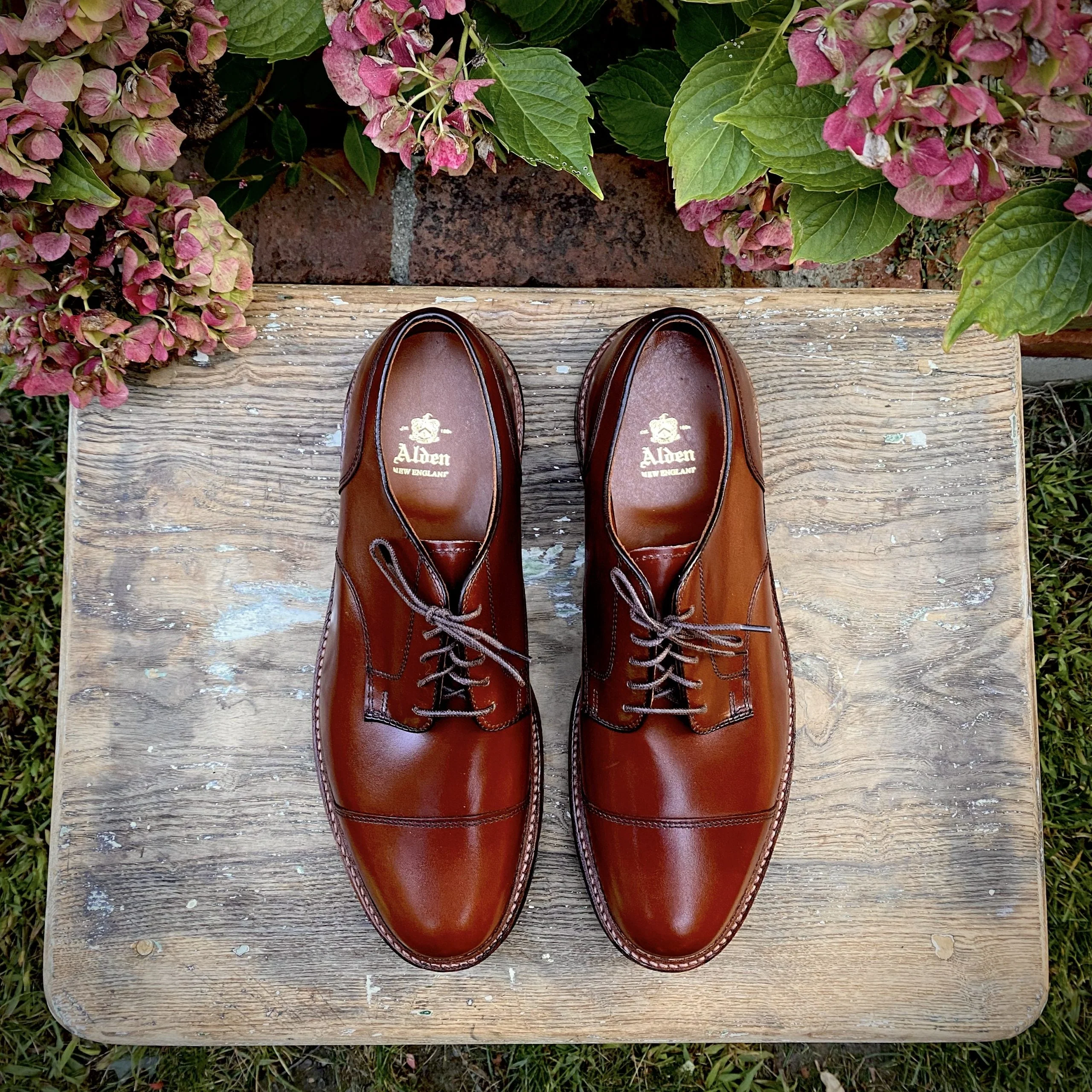 D9539C - "Ten to One" DeRosa Blucher in Madison Brown Calfskin - Image 5